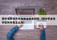 初中生学软件开发就业前景好吗（初中毕业生学软件开发怎么样）