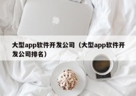 大型app软件开发公司（大型app软件开发公司排名）