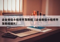 企业微信小程序开发教程（企业微信小程序开发教程图片）
