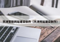 天津营销网站建设软件（天津网站建设制作）