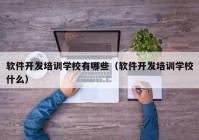软件开发培训学校有哪些（软件开发培训学校什么）