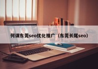 何谓东莞seo优化推广（东莞长尾seo）
