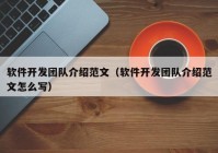软件开发团队介绍范文（软件开发团队介绍范文怎么写）