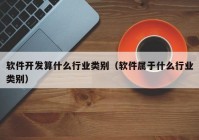 软件开发算什么行业类别（软件属于什么行业类别）