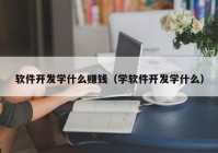 软件开发学什么赚钱（学软件开发学什么）