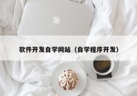 软件开发自学网站（自学程序开发）