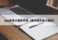app开发小程序开发（用手机开发小程序）