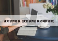 沈阳软件开发（沈阳软件开发公司有哪些）